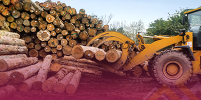 Exploitation forestière